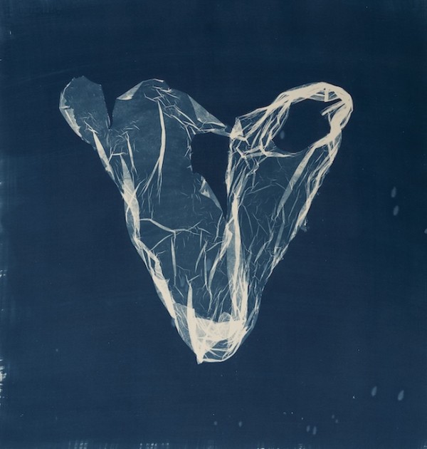 Suzette Bousema, Future Relics 40, 2025. © Suzette Bousema. The image is part of the current exhibit, 'Awakening in Blue: An Ode to Cyanotype, which runs until June 7th. Suzette Bousema, Future Relics 40, 2025. © Suzette Bousema. The image is part of the current exhibit, 'Awakening in Blue: An Ode to Cyanotype, which runs until June 7th.