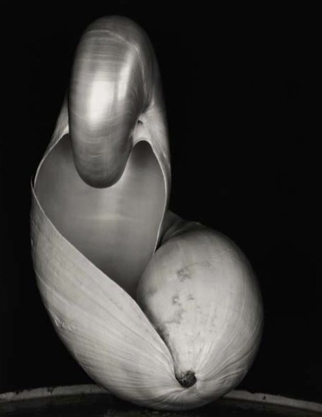 Weston's Two Shells